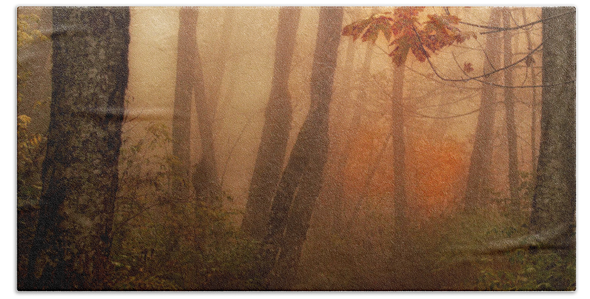 Autumn Beach Sheet featuring the photograph Foggy Autumn by Mary Jo Allen