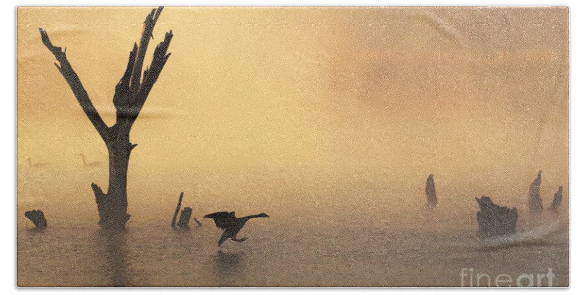 Fog Beach Towel featuring the photograph Foggy Landing by Elizabeth Winter