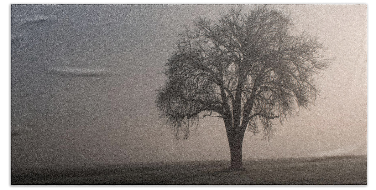 Sale Beach Towel featuring the photograph Foggy Morning Sunshine by Miguel Winterpacht