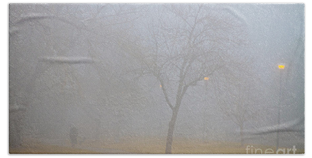 Fog Beach Towel featuring the photograph Foggy Park Morning by James BO Insogna