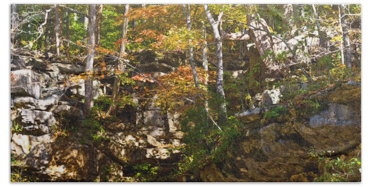 Branches Beach Towel featuring the photograph Forest Above the Cave by Ed Gleichman
