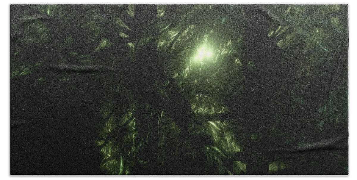 Fractal. Forest Beach Towel featuring the digital art Forest Light by Gary Blackman