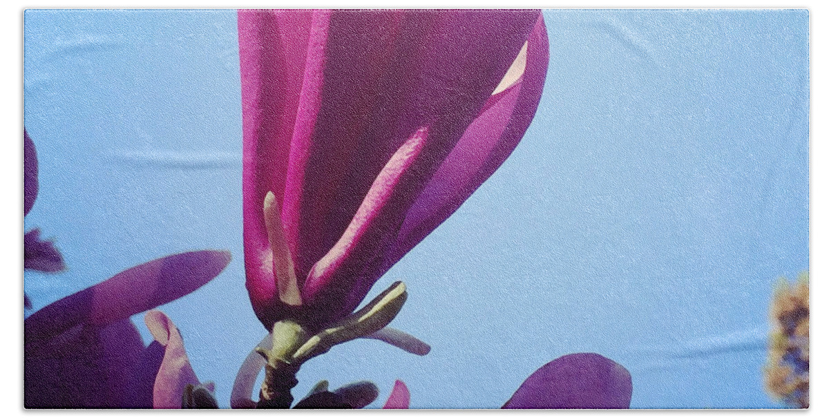 Magnolia Blossom Beach Towel featuring the photograph Fragrant Silence by Kerri Farley