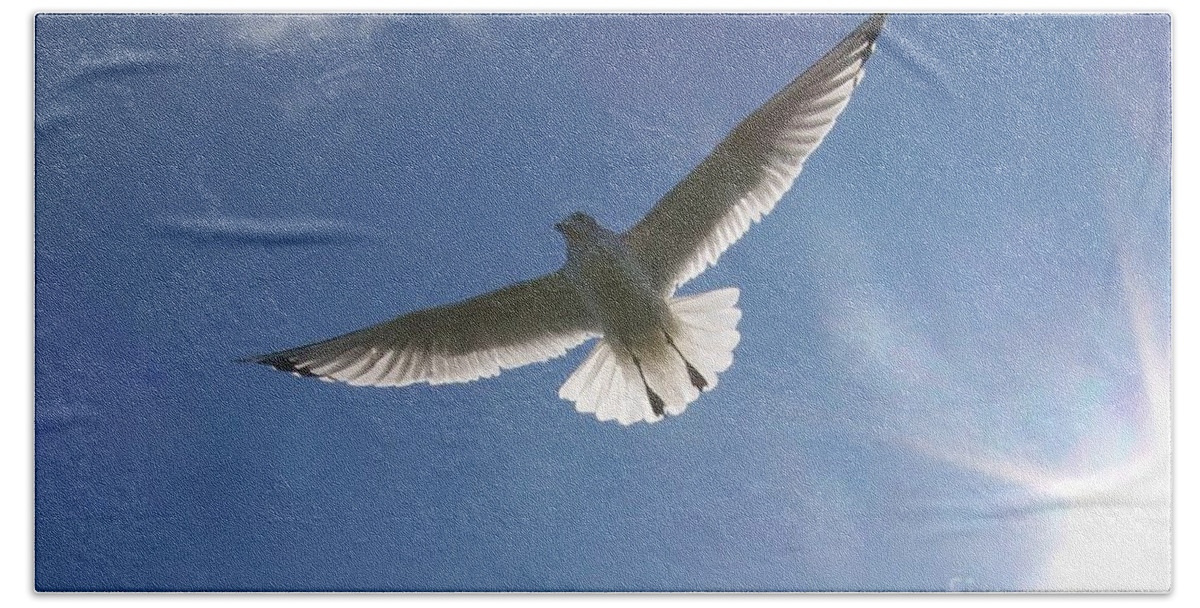 Seagull Beach Towel featuring the photograph Freedom Flight by Jackie Mueller-Jones