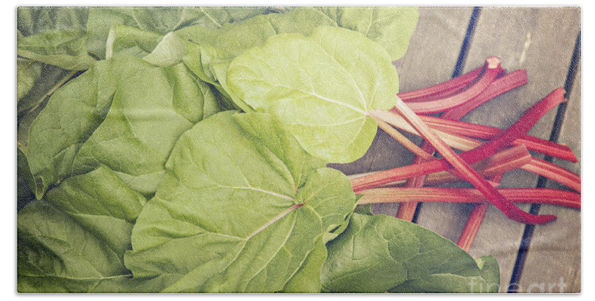Rhubarb Beach Towel featuring the photograph Freshly picked rhubarb by Sophie McAulay