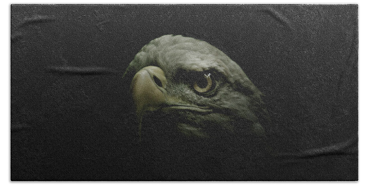 Eagle Beach Towel featuring the photograph From the Shadows by Shane Holsclaw