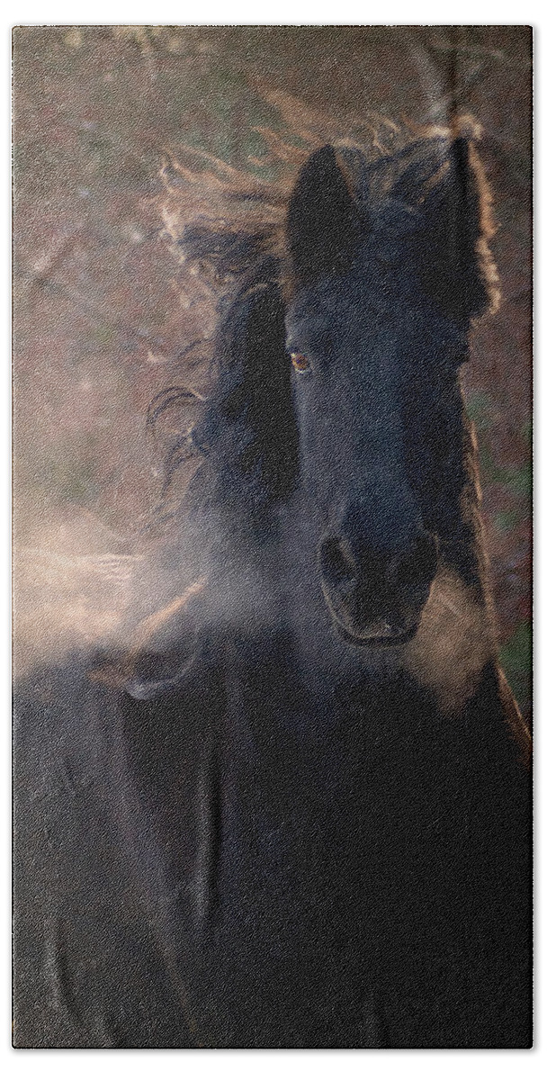 Horses Beach Towel featuring the photograph Frost by Fran J Scott