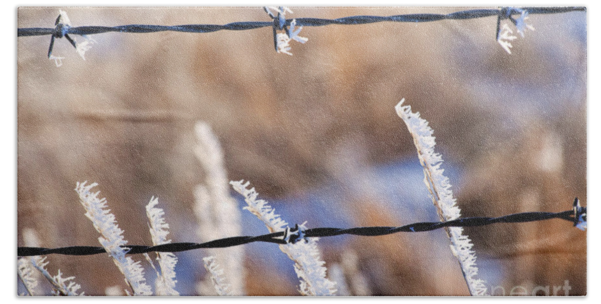 Ice Crystals Beach Towel featuring the photograph Frosted Fence Line by Jim Garrison