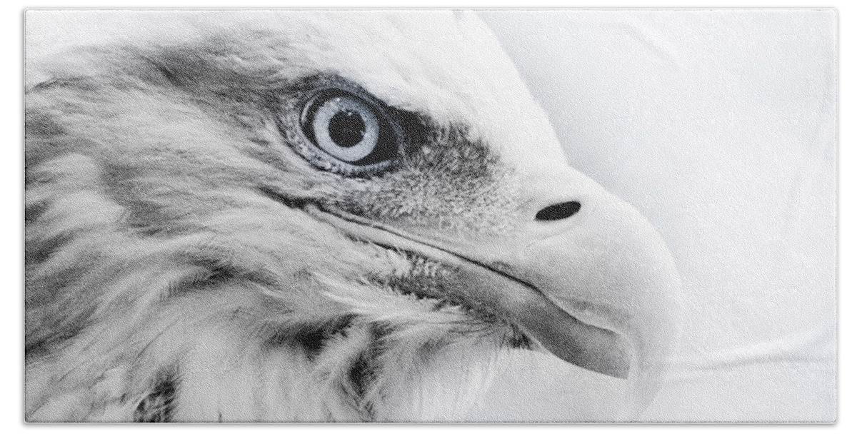 Eagle Beach Towel featuring the photograph Frosty Eagle by Shane Holsclaw