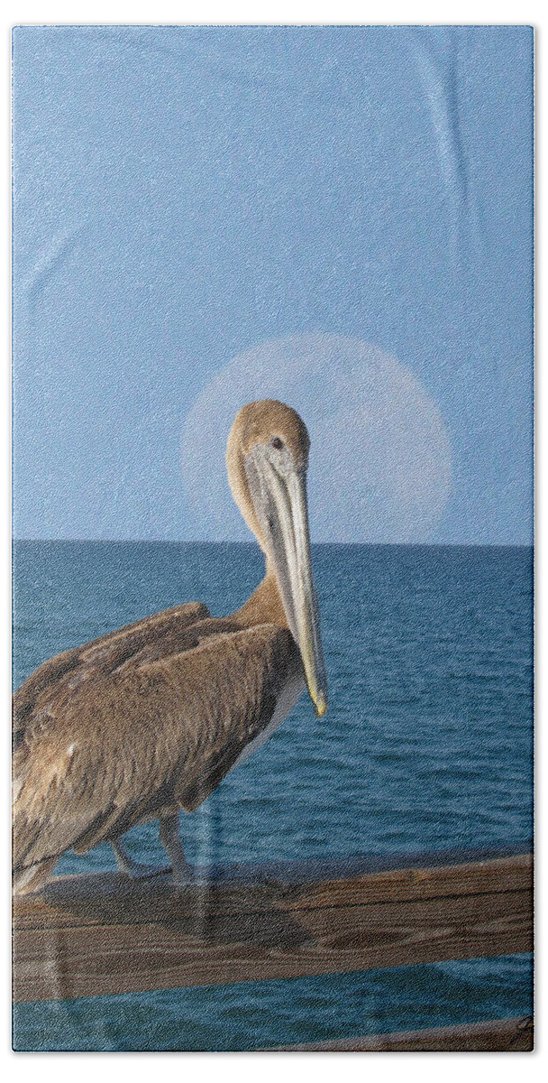 Palozzi Beach Towel featuring the digital art Full Moon Pelican by John Vincent Palozzi