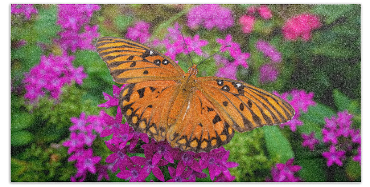 Butterfly Beach Towel featuring the photograph Garden Butterfly by Oswald George Addison