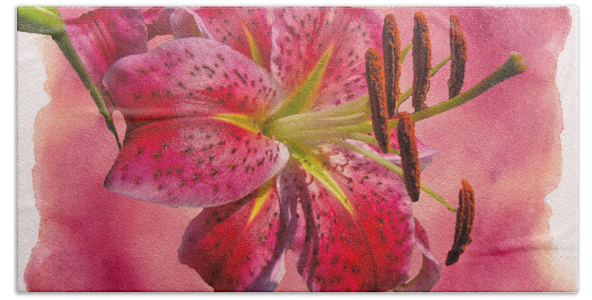 Lily Beach Towel featuring the photograph Garden Delight - Stargazer Lily by Carol Senske