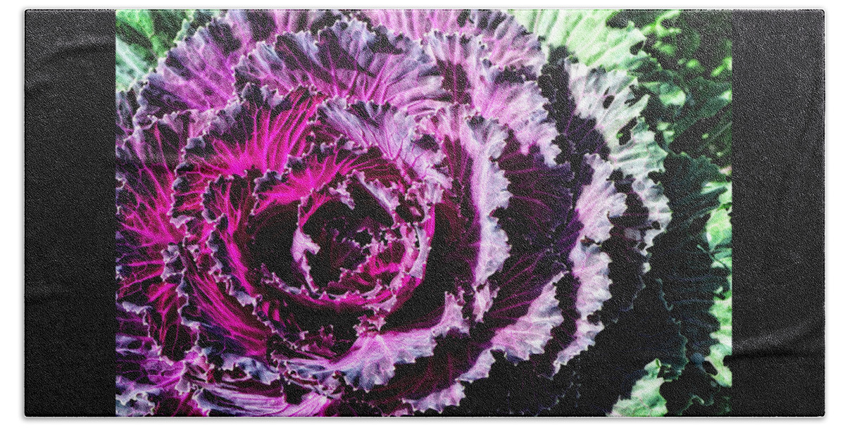 Kale Beach Sheet featuring the painting Garden Haze - Purple Kale Art By Sharon Cummings by Sharon Cummings