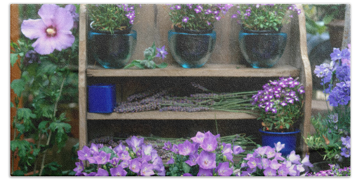 Plant Beach Towel featuring the photograph Garden Still-life With Purple Flowers by Hans Reinhard