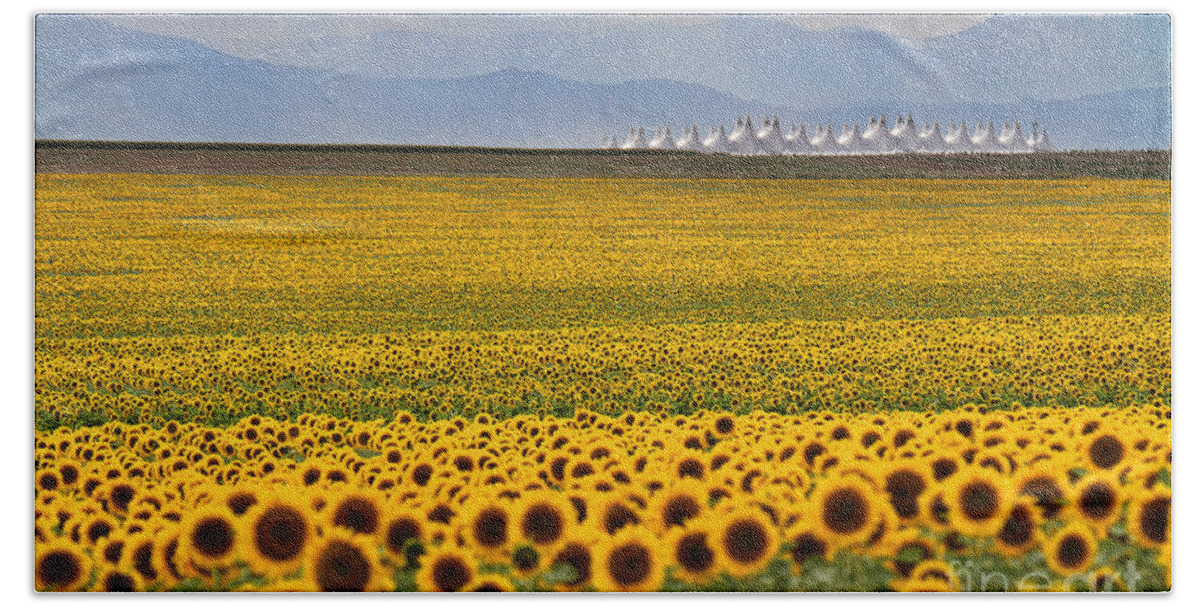 Flowers Beach Towel featuring the photograph Gateway to the Rockies by Jim Garrison