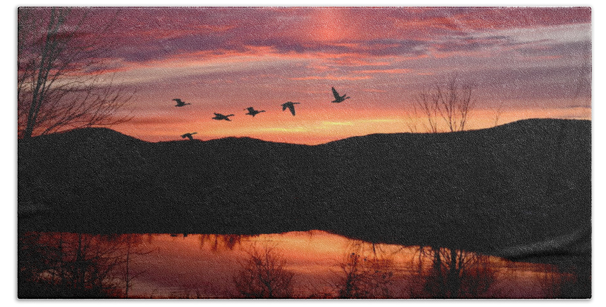 Sunset Beach Sheet featuring the photograph Geese after Sunset by Harry Moulton