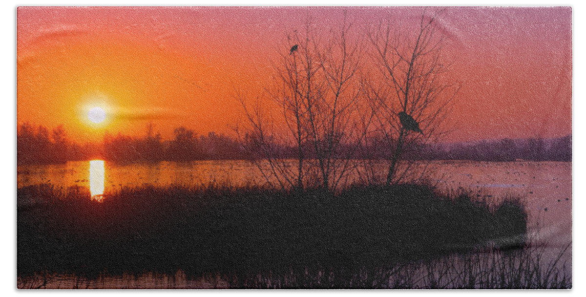 Dawn Beach Towel featuring the photograph Geese Flying at Dawn by Kathleen Bishop