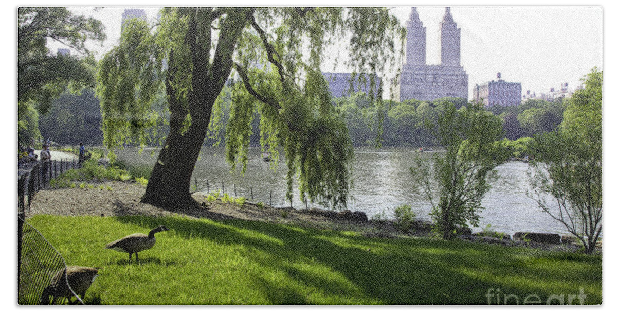 Geese Beach Towel featuring the photograph Geese in Central Park, NY by Madeline Ellis