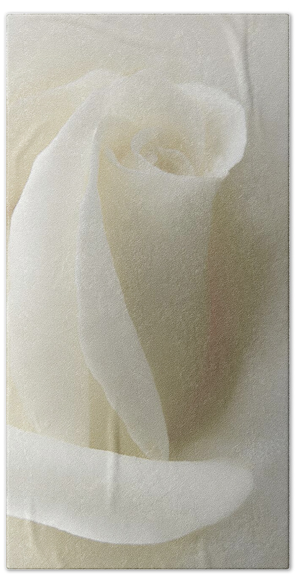 Rose Beach Sheet featuring the photograph Gentle White Rose Flower by Jennie Marie Schell