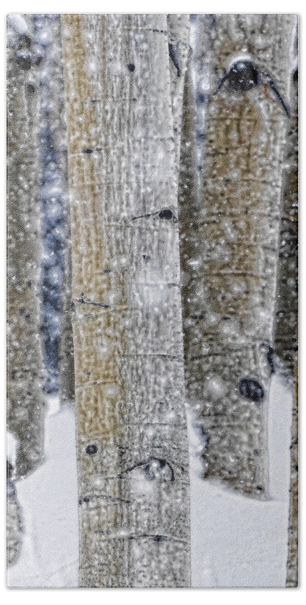 Aspen Beach Towel featuring the photograph Gently Falling Forest Snow by Don Schwartz