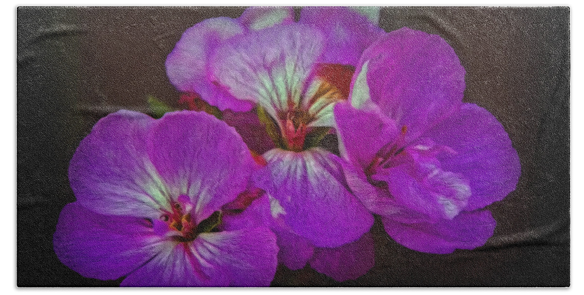 Flower Beach Sheet featuring the photograph Geranium Blossom by Hanny Heim