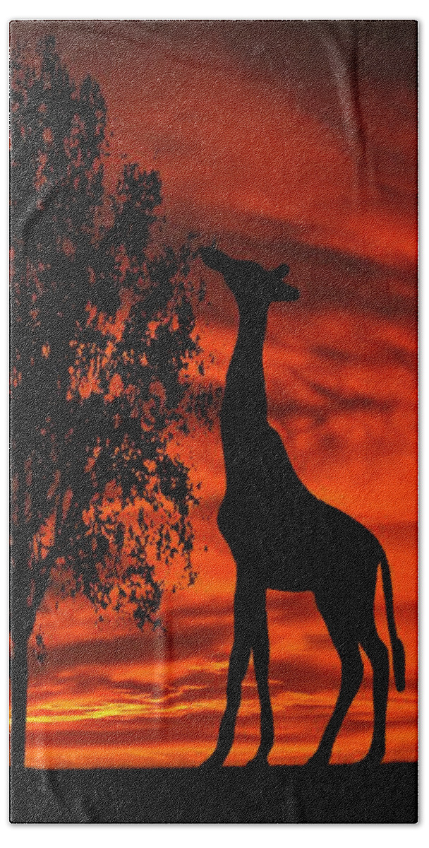 Giraffe Beach Towel featuring the photograph Giraffe Sunset Silhouette Series by David Dehner