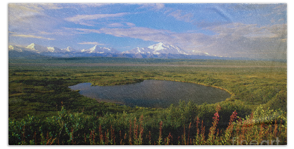 00340579 Beach Towel featuring the photograph Glacial Kettle Pond And Denali by Yva Momatiuk John Eastcott