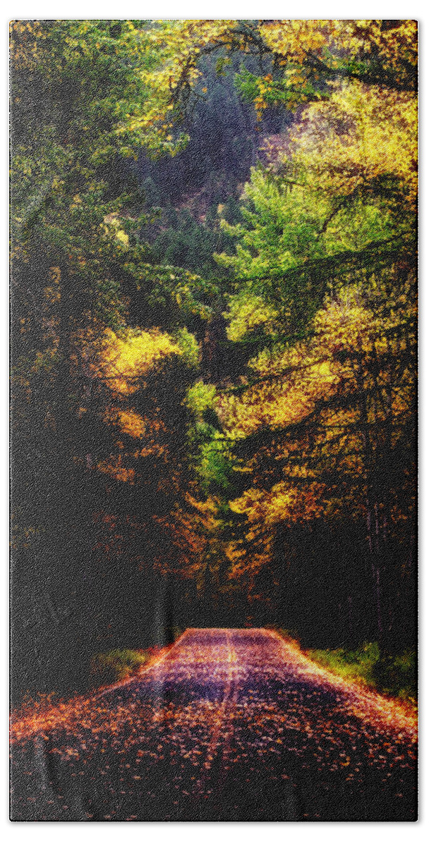 Glacier Park Beach Towel featuring the photograph Glacier Fall Road by Susan Kinney