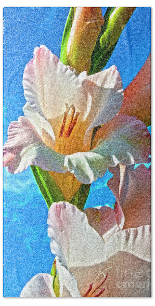 Gladiolus Beach Towel featuring the photograph Gladiolus by Heiko Koehrer-Wagner