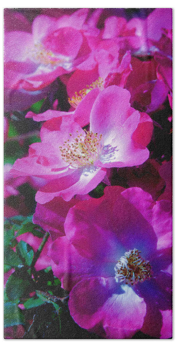 Roses Beach Sheet featuring the photograph Glorious Blooms by Lucinda Walter