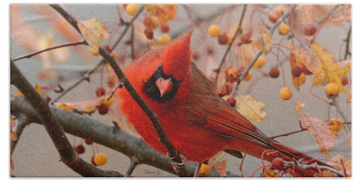 Red Northern Male Cardinals Beach Towel featuring the photograph Glorious by Nava Thompson