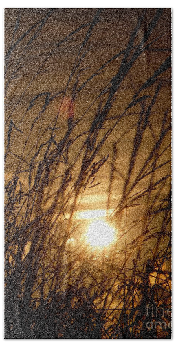 Sunset Beach Sheet featuring the photograph Glow Through The Grass by Vicki Spindler