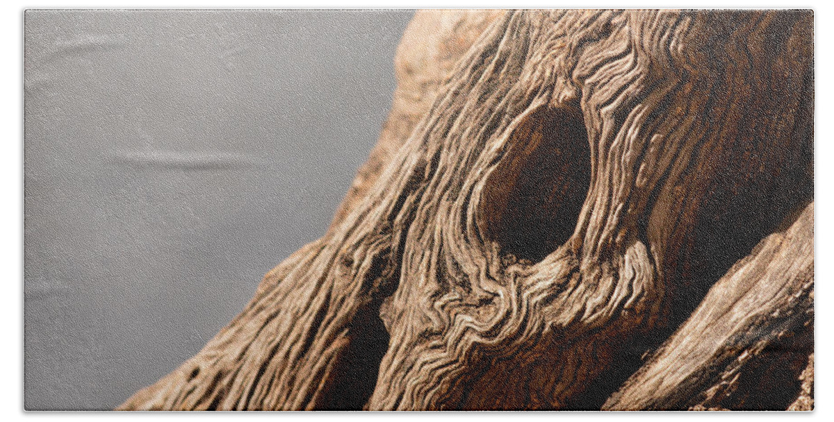 Wood Beach Towel featuring the photograph Gnarly Wood by Michael McGowan