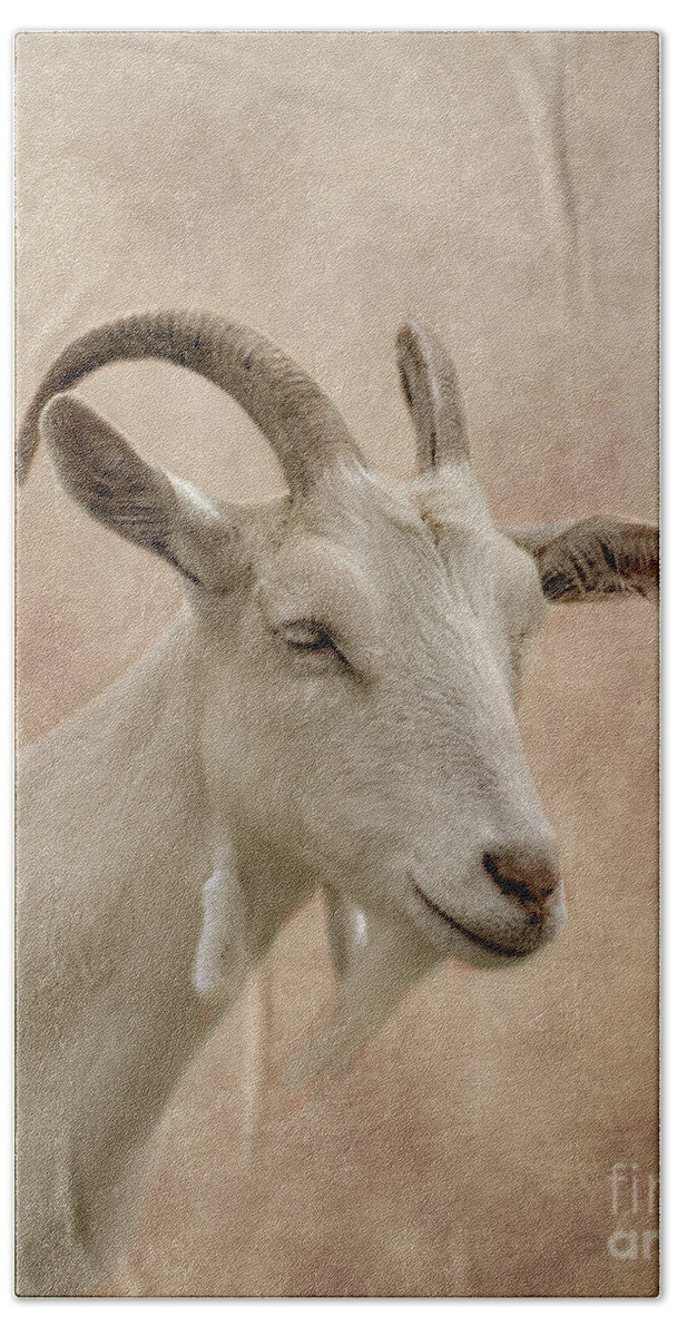 Goat Beach Towel featuring the photograph Goat by Linsey Williams