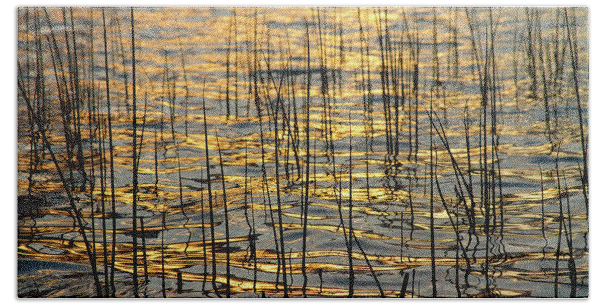 Golden Beach Towel featuring the photograph Golden Lake Ripples by James BO Insogna
