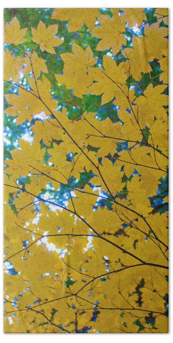 Golden Leaves Of Autumn Beach Towel featuring the photograph Golden Leaves of Autumn by Tikvah's Hope