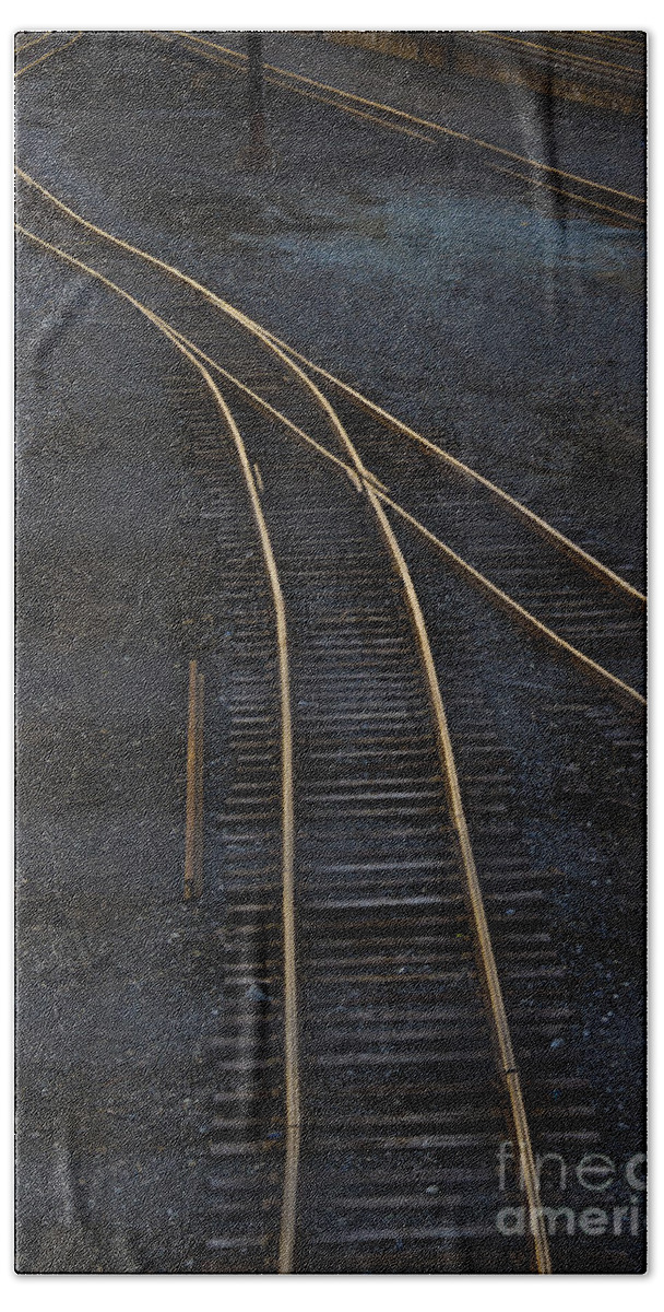 Black Beach Towel featuring the photograph Golden Tracks by Margie Hurwich