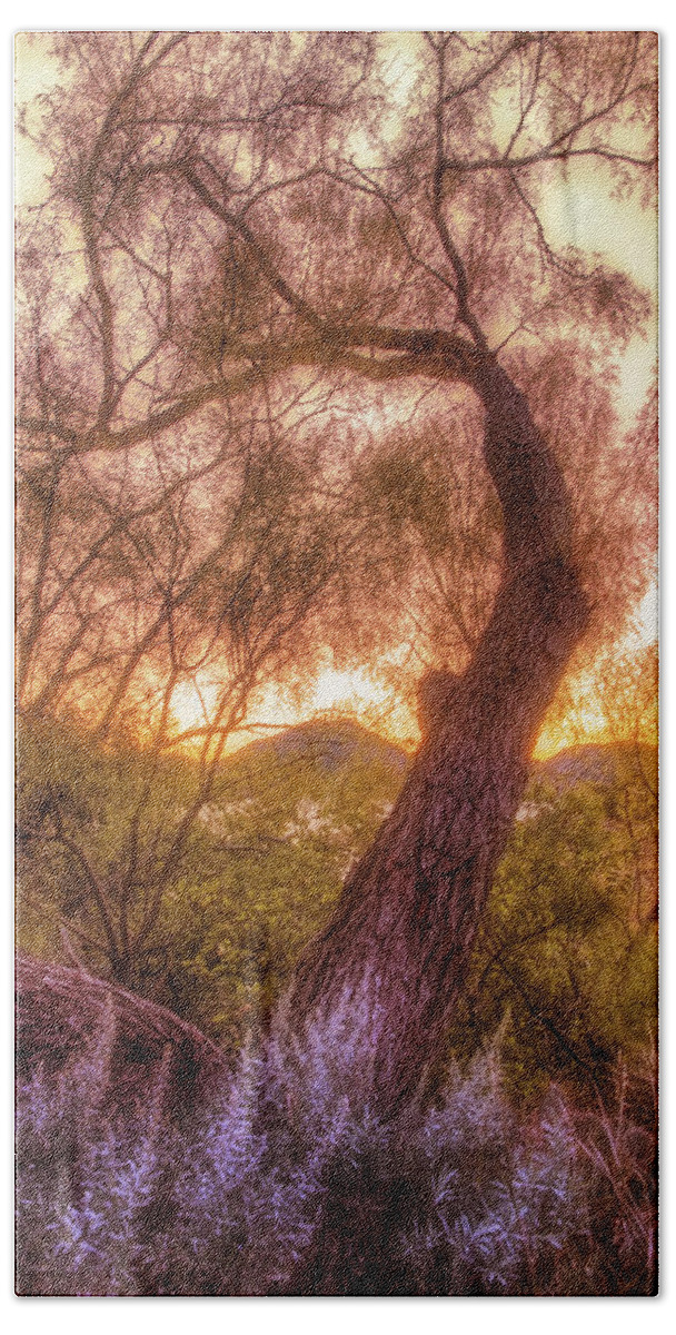 Tree Beach Towel featuring the photograph Golden Tree at the Quartz Mountains - Oklahoma by Jason Politte
