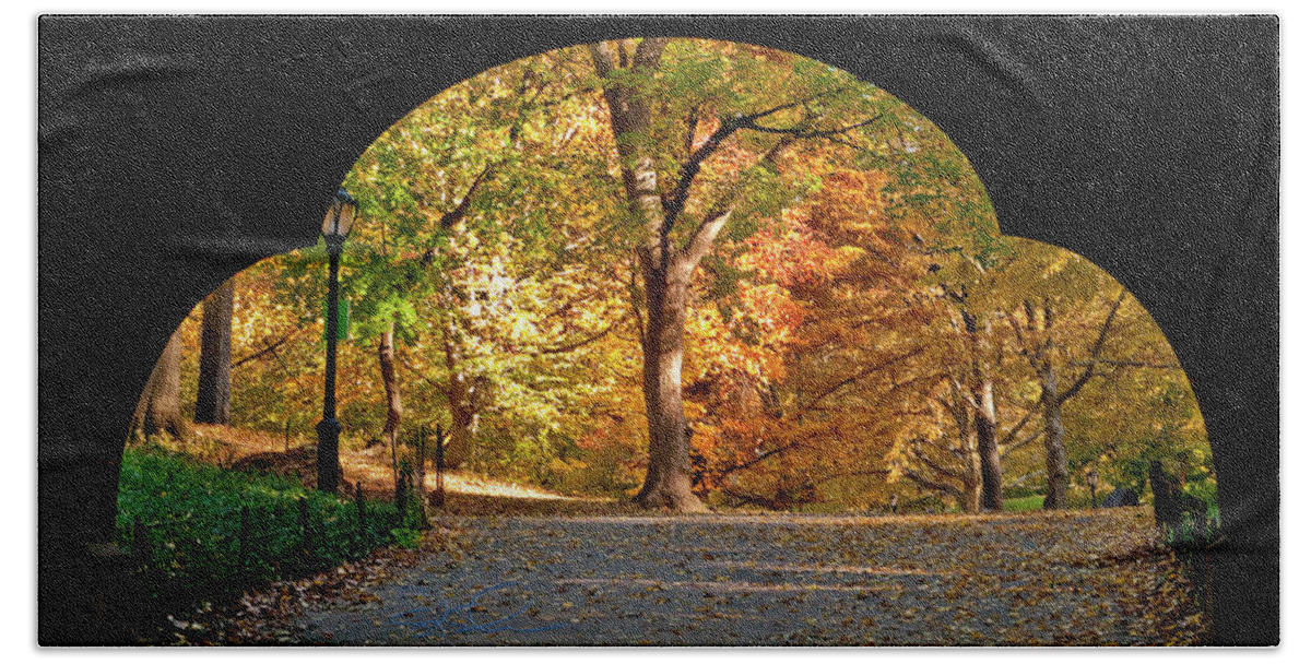 Central Park Beach Towel featuring the photograph Golden Underpass by S Paul Sahm