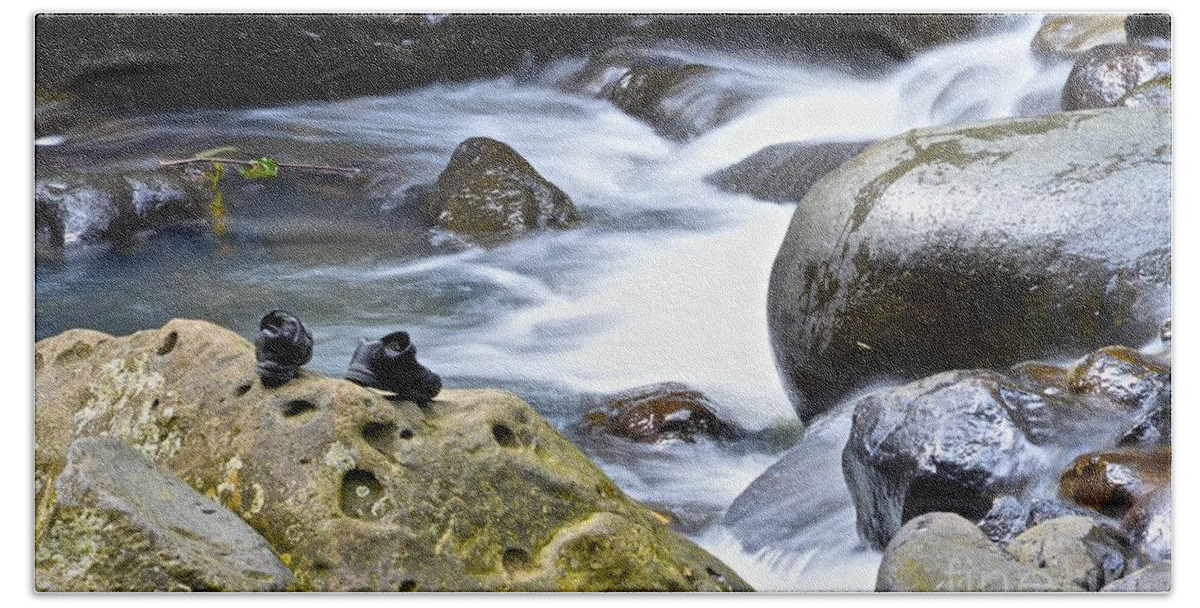Annadale Waterfall Beach Sheet featuring the photograph Gone Exploring by Laura Forde