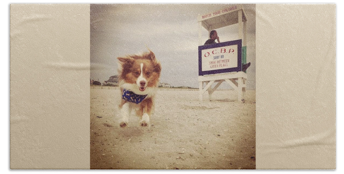 Weeklyfluff Beach Towel featuring the photograph Goofball Pup And Some Hot Lifeguard On by Katie Cupcakes