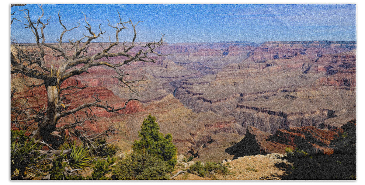 Grand Canyon National Park Beach Towel featuring the photograph Grand Canyon South Rim Trail by Greg Norrell