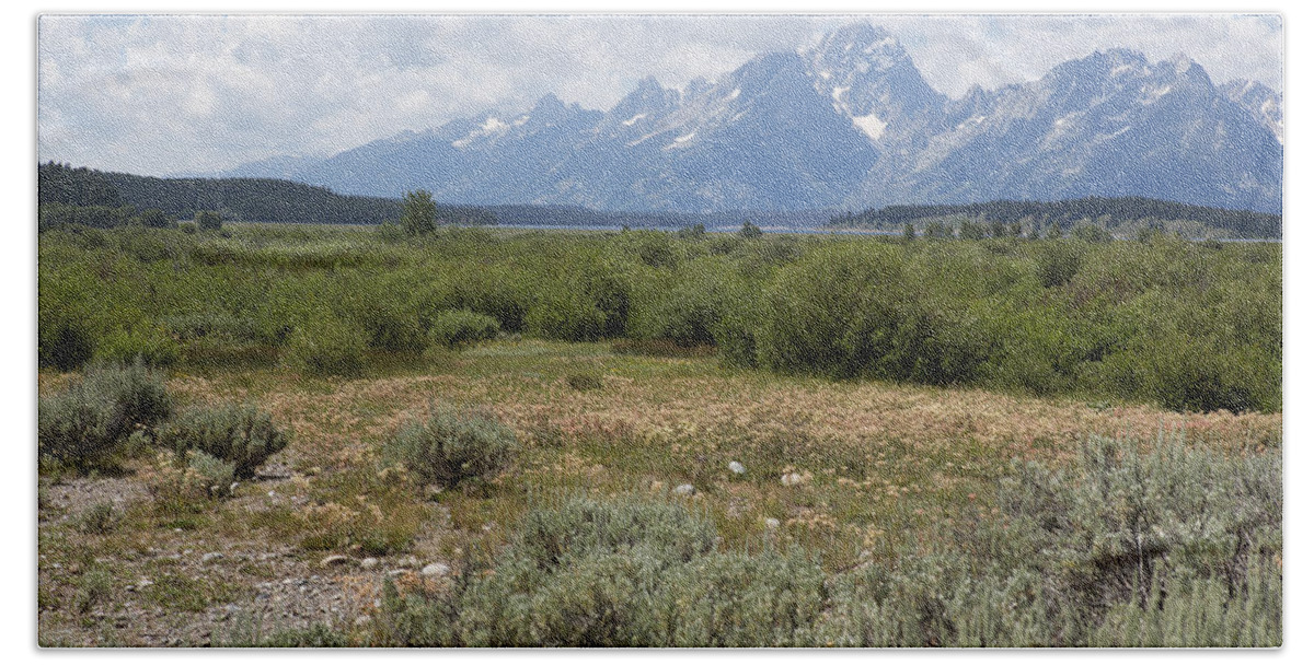 Willow Flats Beach Sheet featuring the photograph Grand Tetons from Willow Flats by Belinda Greb