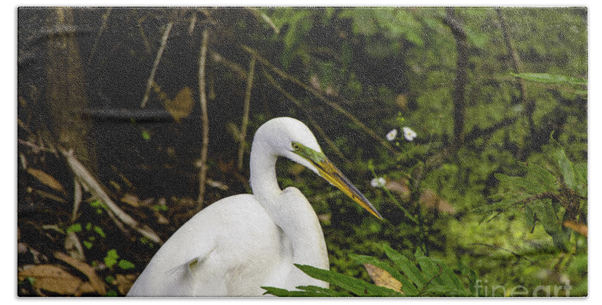 Animal Beach Towel featuring the photograph Great Blue Heron - White by Mary Carol Story