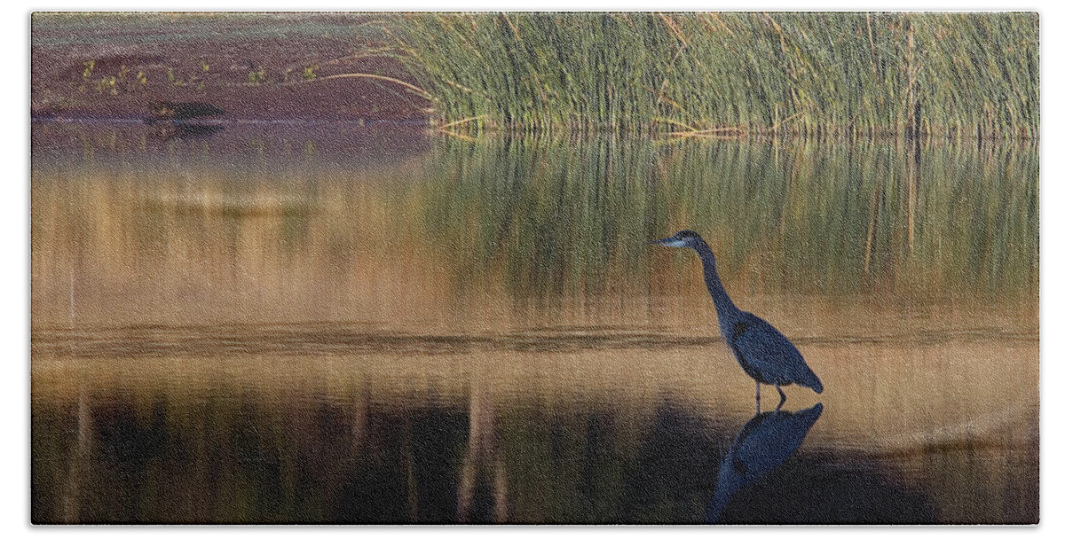 Bidwell Park Beach Towel featuring the photograph Great Blue Heron At Horseshoe Lake by Robert Woodward