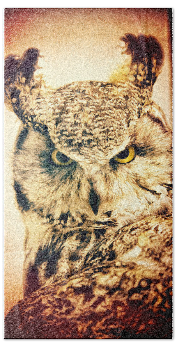 Horned Beach Sheet featuring the photograph Great horned owl vintage portrait by Eti Reid