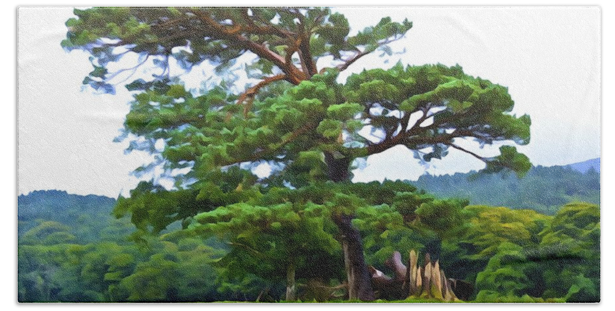 Pine Tree Beach Sheet featuring the photograph Great Pine by Norma Brock