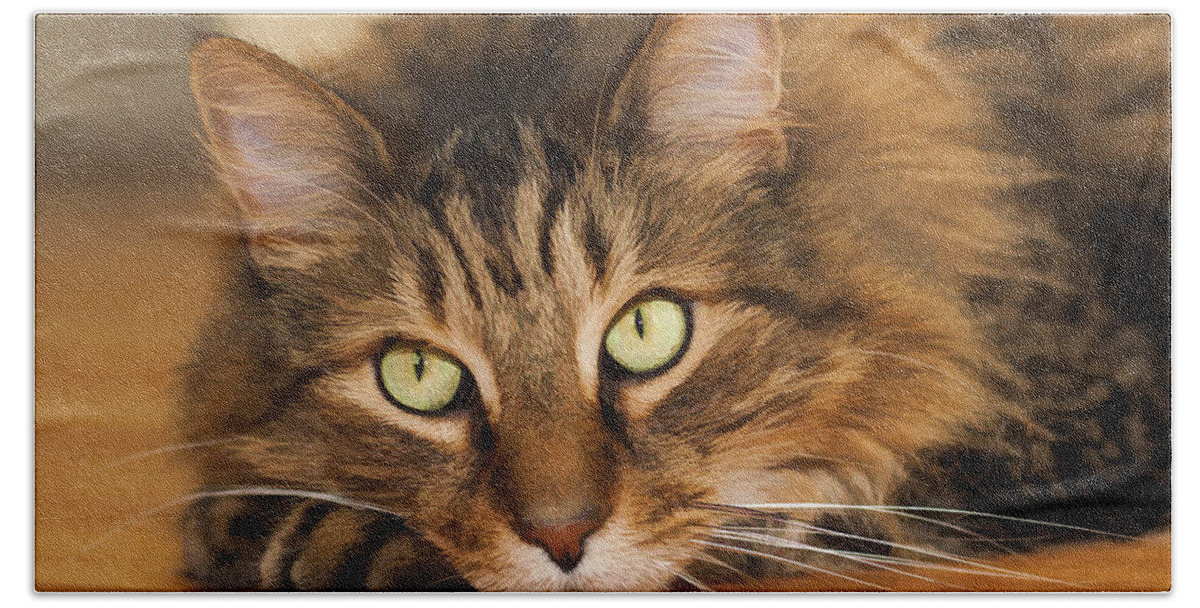 Cat Beach Towel featuring the photograph Green Eyes by Donna Doherty
