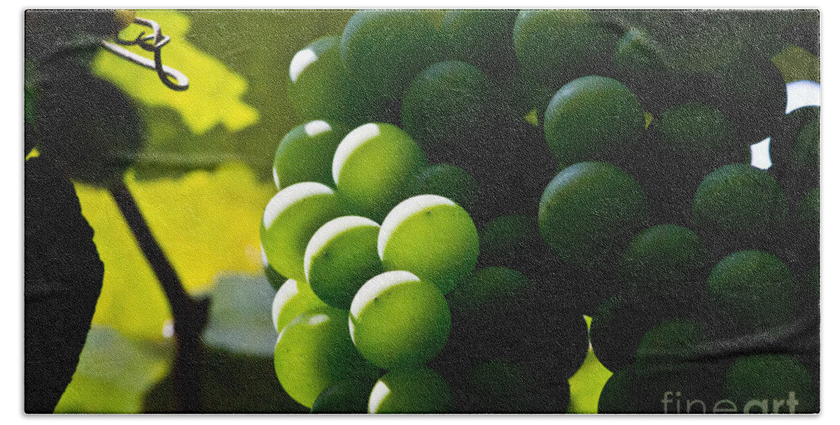 Green Beach Sheet featuring the photograph Green Grapes by Ms Judi