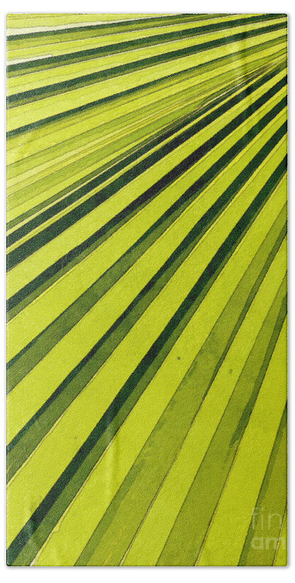 Palms Beach Towel featuring the photograph Green Palm Frond by Phil Perkins